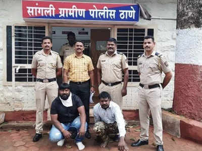 Sangli Crime सांगली: टायगर ग्रुपच्या शहराध्यक्षासह दोघांना बेड्या; त्या धक्कादायक घटनेनंतर होते फरार