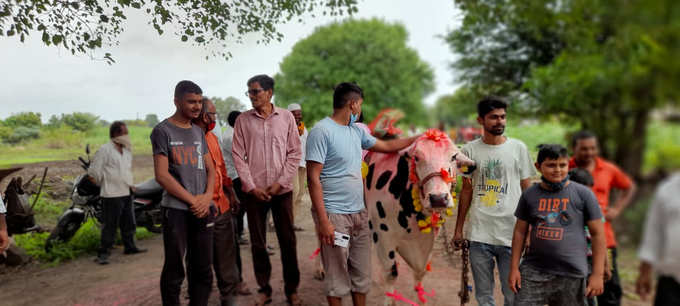 a cow was sold for rs 1 lakh 61 thousand