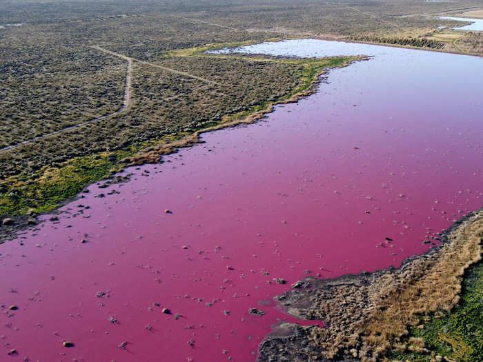 Pink Lake AFP