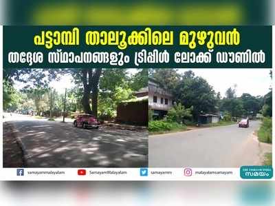 പട്ടാമ്പി താലൂക്കിലെ മുഴുവന്‍ തദ്ദേശ സ്ഥാപനങ്ങളും ട്രിപ്പിള്‍ ലോക്ക് ഡൗണില്‍