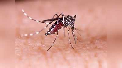 এবার সংক্রামক Zika Virus-এর থাবা মহারাষ্ট্রেও