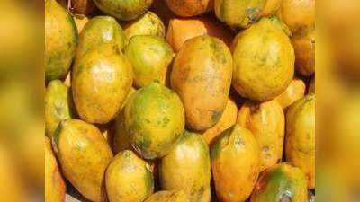 Papaya Farming Business Idea: पपीते की खेती से जमकर बरसेगा पैसा, जानिए साल भर में कैसे करें 15 लाख रुपये तक की तगड़ी कमाई!