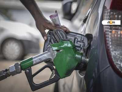 টানা দু সপ্তাহের বেশি  Petrol-Diesel Price Unchanged, কবে কমবে দাম?