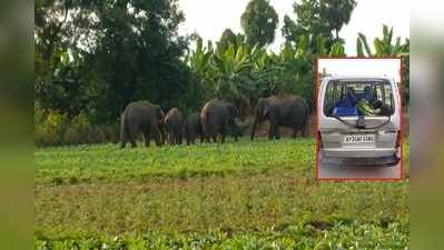 విజయనగరం: బాబోయ్ ఏనుగుల గుంపు.. దెబ్బకు కారు మొత్తం ధ్వంసం