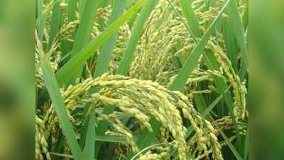 AGRICET 2021: అగ్రిసెట్‌ నోటిఫికేషన్‌ విడుదల.. పూర్తి వివరాలివే 