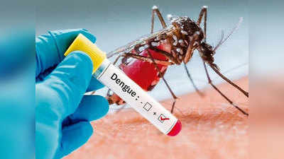 Dengue in Delhi: दिल्ली में इस साल अब तक डेंगू के 52 मामले सामने आए