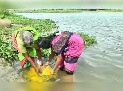 எல்லாம் கொரோனாவால் வந்த தொல்லை... நெல்லையில் கலையிழந்த ஆடிப் பெருக்கு விழா!