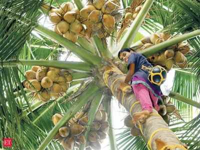 ರಾಮನಗರ: ಒಂದು ಜಿಲ್ಲೆ, ಒಂದು ಉತ್ಪನ್ನ ಯೋಜನೆಗೆ ರೈತರ ನಿರಾಸಕ್ತಿ