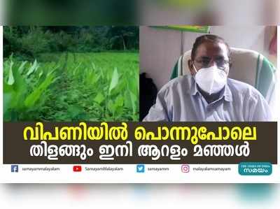 വിപണിയില്‍ പൊന്നുപോലെ തിളങ്ങും ഇനി ആറളം മഞ്ഞള്‍