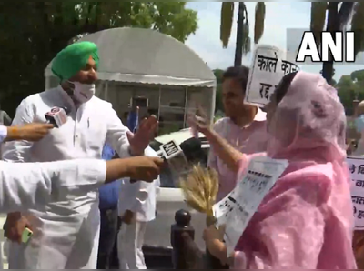 VIDEO: संसदेसमोरच विरोधी काँग्रेस-अकाली दलाचे नेते एकमेकांना भिडले