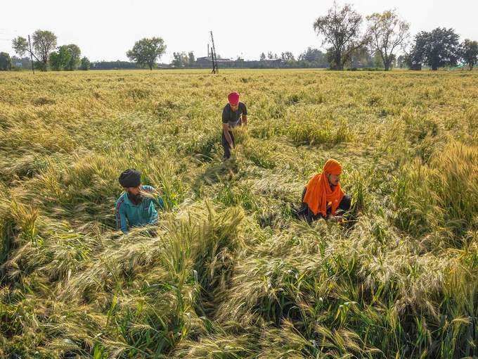 लिस्ट में कैसे चेक कर सकते हैं नाम