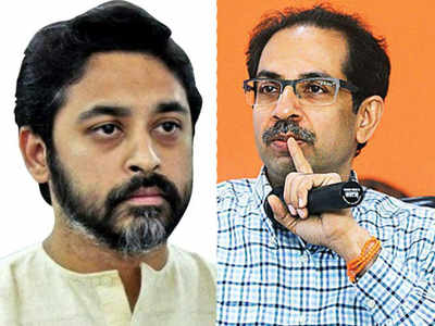 Nilesh Rane Criticizes Shiv Sena: शिवसैनिकांचं हे काय चाललंय?; नीलेश राणेंचा शिवसेनेवर प्रहार