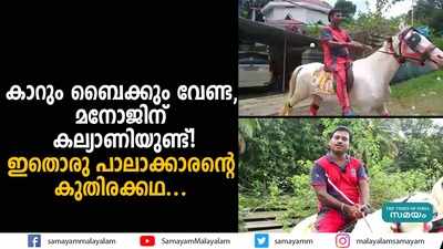 മനോജിൻ്റെ സ്വന്തം കല്യാണി! ഇതൊരു പാലാക്കാരൻ്റെ കുതിരക്കഥ