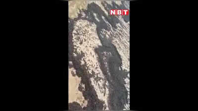 मुंबई के समंदर में ऑयल स्पिल? काली हुई जुहू बीच की रेत