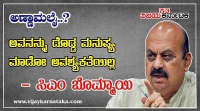 ಅಣ್ಣಾಮಲೈನನ್ನು ದೊಡ್ಡ ಮನುಷ್ಯ ಮಾಡೋ ಅವಶ್ಯಕತೆಯಿಲ್ಲ: ಸಿಎಂ