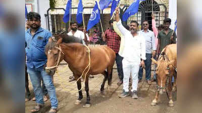 Sangli Horse Morcha: सांगली महापालिकेच्या दारात उभे ठाकले चार घोडे!; हे आहे कारण
