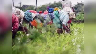 Pradhan Mantri Fasal Bima Yojana: यूपी के किसानों को अब भी क्यों रास नहीं आ रही प्रधानमंत्री फसल बीमा योजना?