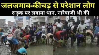 Darbhanga News: जलजमाव और कीचड़ से परेशान लोगों का प्रदर्शन, नारेबाजी के साथ सड़क पर लगाया धान