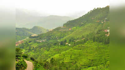 Uttarakhand News: पर्यटकों को लुभा रहे नैसर्गिक सौंदर्य से परिपूर्ण उत्तराखंड के पर्यटन स्थल