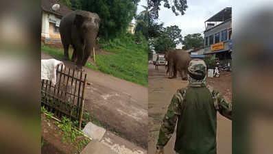 elephant in village: वाट चुकलेला हत्ती गावात शिरला आणि...; पुढे काय झाले पाहा!