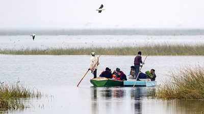 નળસરોવર એ ગુજરાતનું મહત્વનું પરંતુ સૌથી વધારે દૂષિત જળાશયઃ વન વિભાગ