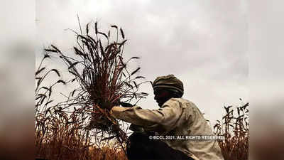 pradhan mantri kisan samman nidhi : पीएम किसान योजना; शेतकऱ्यांच्या खात्यात आज २००० रुपये  जमा होणार