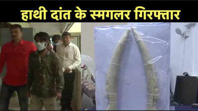 Mumbai Crime News: हाथी दांत के सौदागरों को पुलिस ने रंगे हाथ किया गिरफ्तार
