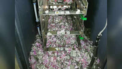 चूहों का आंतक: कुतर डाले ATM में रखे 12 लाख रुपये के नोट