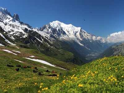 गोवा के समुद्र तटों में सैर करने के बाद अब कुछ पहाड़ी जगहों में भी घूमने का लें मजा