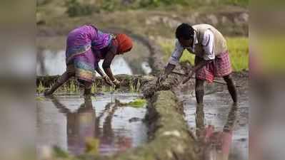 વરસાદ ખેંચાતા રાજ્ય સરકારનો નિર્ણય, ખેડૂતોને સિંચાઈ માટે પાણી અપાશે