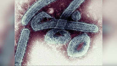 करोना, इबोलासारखा आणखी एक घातक विषाणू; WHO ने दिली माहिती