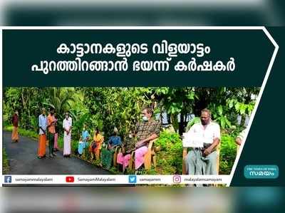 കാട്ടാനകളുടെ വിളയാട്ടം; പുറത്തിറങ്ങാന്‍ ഭയന്ന് കര്‍ഷകര്‍