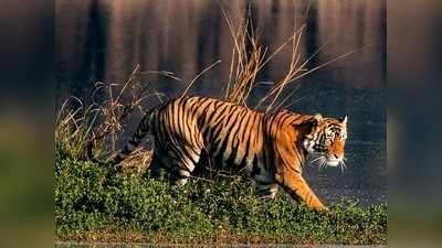 নিরাপদ ও পরিবেশ-বান্ধব জীবিকা সুন্দরবনবাসীর জন্য