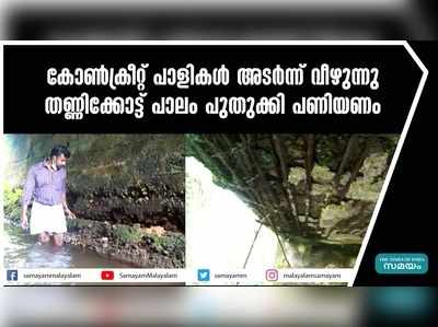 കോൺക്രീറ്റ് പാളികൾ അടർന്ന് വീഴുന്നു; തണ്ണിക്കോട്ട് പാലം പുതുക്കി പണിയണം