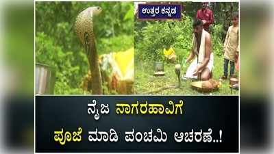 ಉತ್ತರ ಕನ್ನಡ:<b> </b>ಹಾವಿನ ಮೂರ್ತಿಗೆ ಅಲ್ಲ.. ನೈಜ ಹಾವಿಗೆ ಪೂಜೆ ಸಲ್ಲಿಸಿ ನಾಗರ ಪಂಚಮಿ ಆಚರಿಸಿದ ಉರಗ ಪ್ರೇಮಿ