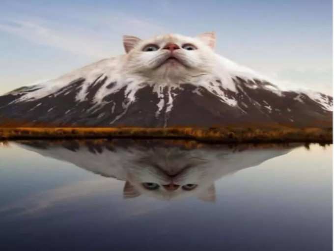 बिल्ली का पहाड़!