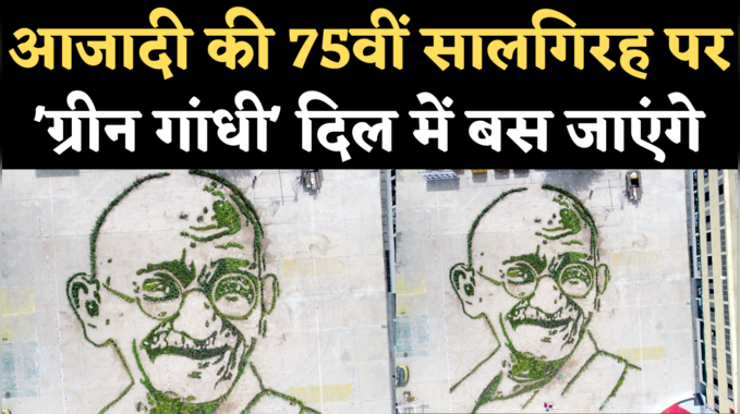 Green Gandhi in Chhindwara: आजादी की 75वीं सालगिरह पर कीजिए 15 हजार पौधों से तैयार ग्रीन गांधी के दीदार 