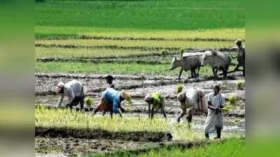 வேளாண்துறைக்கே தனி நிதிநிலை: ராமதாஸ் வரவேற்பு..!