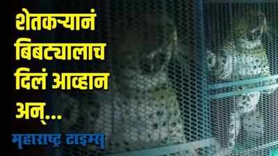 farmer caught leopard  | शेतकऱ्याचं जबरदस्त धाडस; बिबट्यालाच दिलं आव्हान | Maharashtra Times