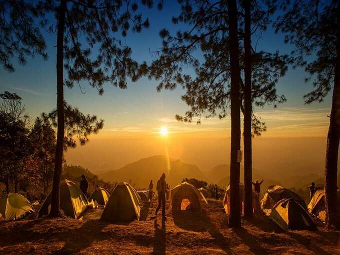 कैंप वाइल्ड धौज, गुड़गांव-फरीदाबाद बॉर्डर - Camp Wild Dhauj, Gurgaon-Faridabad Border in Hindi