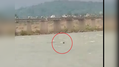 काळजाचा ठोका चुकवणारा VIDEO, सेल्फीच्या नादात दोन भावंडांना वैनगंगेच्या पात्रात जलसमाधी