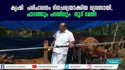 കൃഷി  പരിപാലനം ദിനചര്യയാക്കിയ വ്യവസായി, പാടത്തും പറമ്പിലും നൂറ് മേനി!