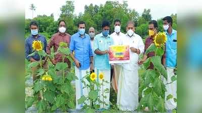 സേവ് ദി ഡേറ്റ് ചെയ്യണോ? കഞ്ഞിക്കുഴിയിലേക്ക് പോന്നോളു, അടിപൊളി ഇടം ഇവിടെയുണ്ട്. വീഡിയോ