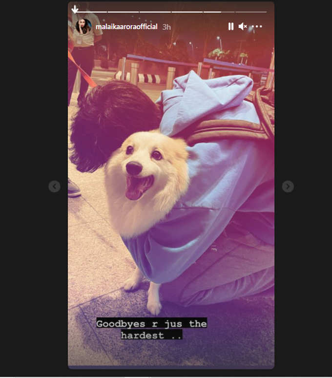 Malaika shared a photo of Arhaan bidding goodbye to their dog
