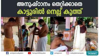 അനുഷ്ഠാനം തെറ്റിക്കാതെ കാട്ടൂരിൽ നെല്ല് കുത്ത്