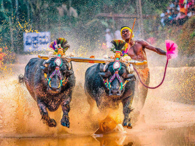 ವಿಜಯ ಕರ್ನಾಟಕದಿಂದ ಮಾಹಿತಿ