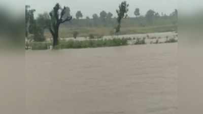 Weather Update : नांदेडमध्ये ढगफुटीसदृश्य पावसाचं थैमान, अनेक गावं पाण्याखाली