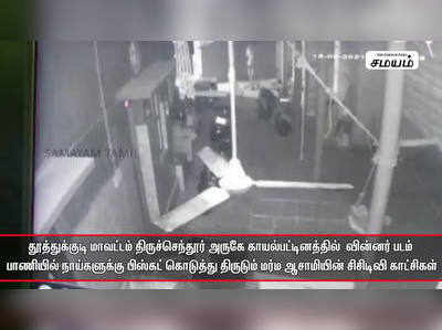 வின்னர் படம் பாணியில் நாய்களுக்கு பிஸ்கட் கொடுத்து திருடும் சிசிடிவி காட்சிகள்!