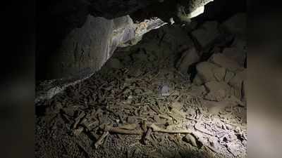 Saudi Arabia: वैज्ञानिकों को मिली हजारों साल पुरानी हड्डियों से भरी एक गुफा, जानवरों के साथ इंसानों के भी अवशेष