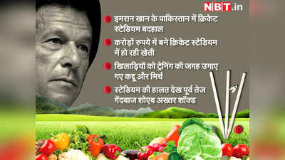 इमरान के पाकिस्तान में ऐसा भी? करोड़ों में बना था क्रिकेट स्टेडियम, अब हो रही खेती, उगाए जा रहे कद्दू और मिर्च